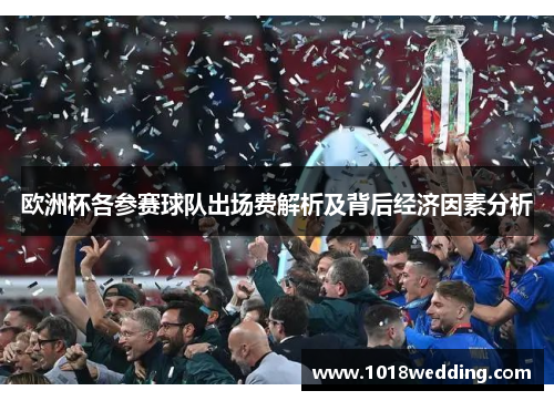 欧洲杯各参赛球队出场费解析及背后经济因素分析