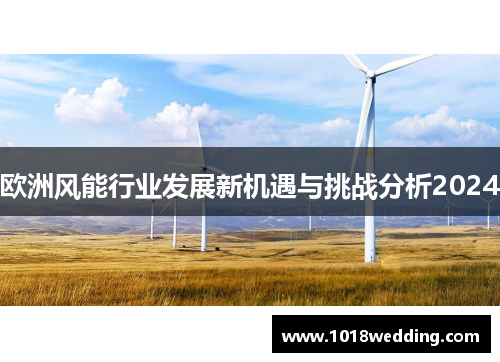 欧洲风能行业发展新机遇与挑战分析2024