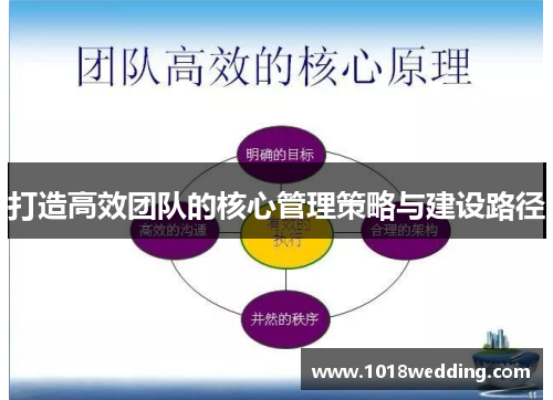 打造高效团队的核心管理策略与建设路径