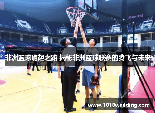 非洲篮球崛起之路 揭秘非洲篮球联赛的腾飞与未来