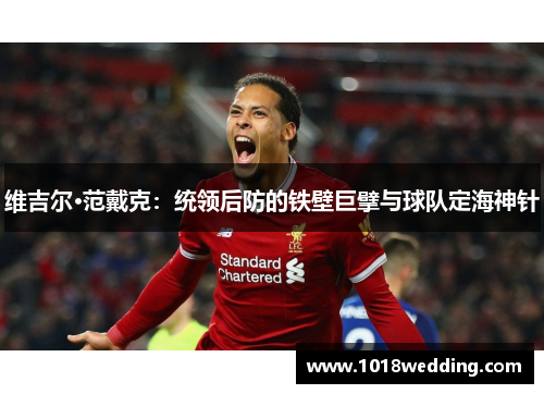维吉尔·范戴克：统领后防的铁壁巨擘与球队定海神针