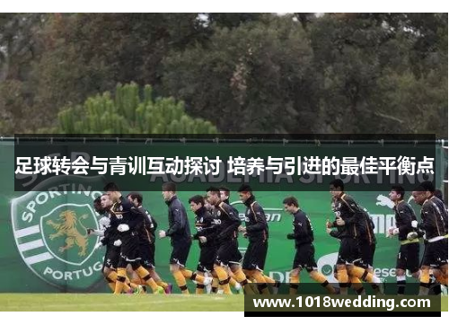 足球转会与青训互动探讨 培养与引进的最佳平衡点