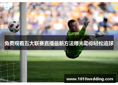 免费观看五大联赛直播最新方法曝光助你轻松追球